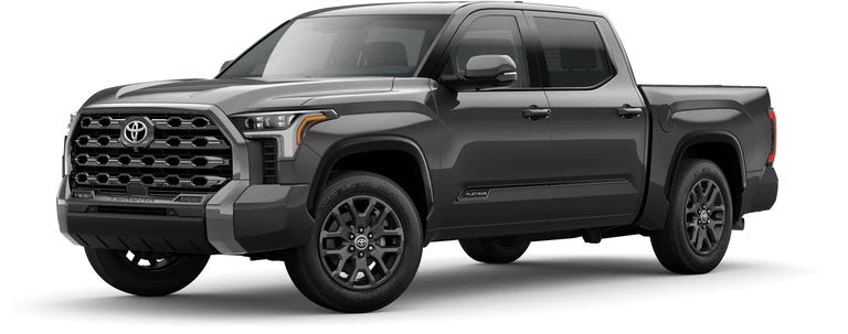 2022 Toyota Tundra Platinum in Magnetic Gray Metallic | Kinderhook Toyota in Hudson NY