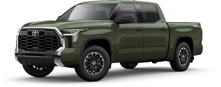 2022 Toyota Tundra SR5 in Army Green | Kinderhook Toyota in Hudson NY