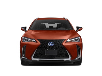 2019 Lexus UX UX 250h F SPORT
