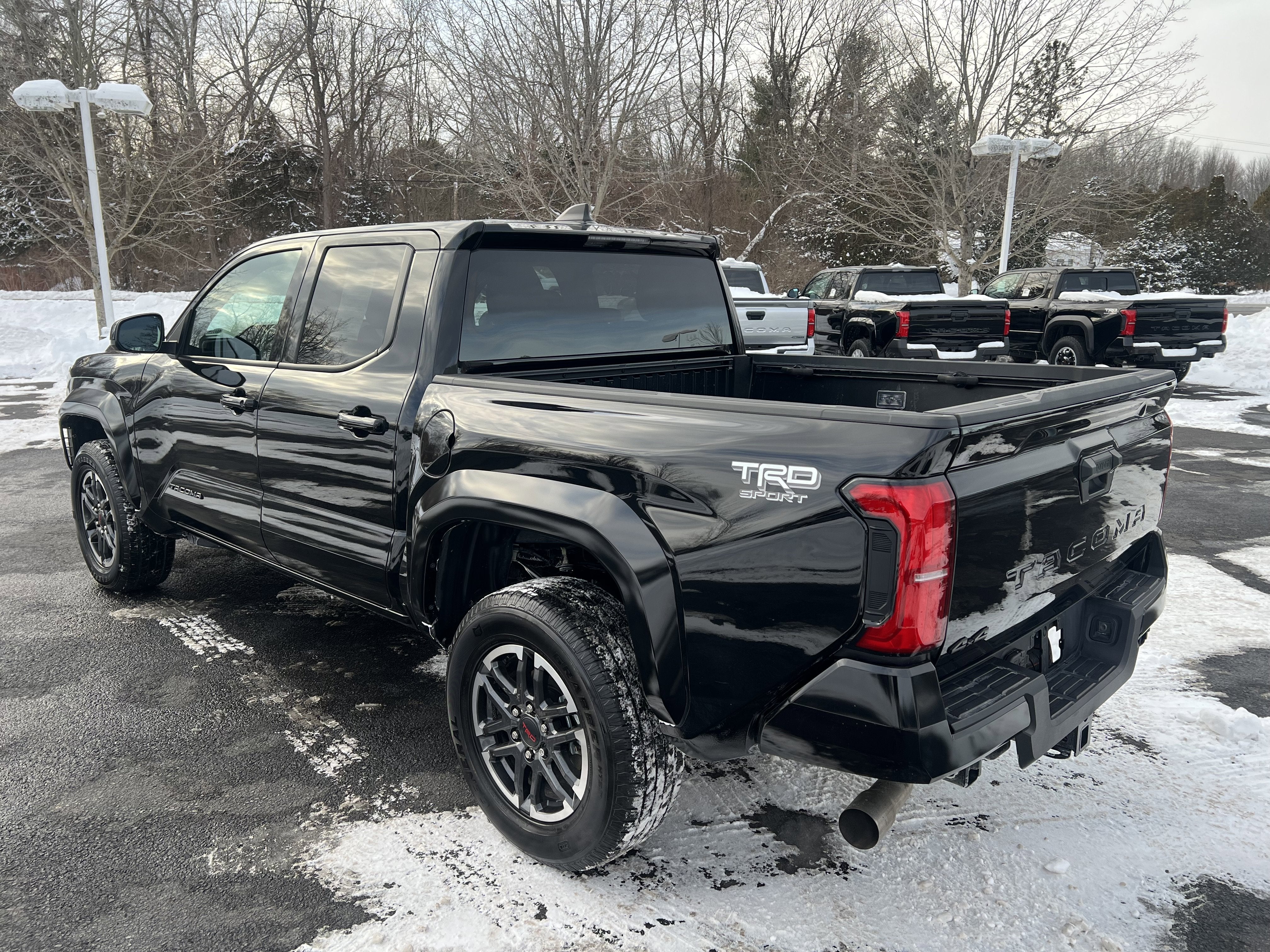 2025 Toyota Tacoma 4WD TRD Sport
