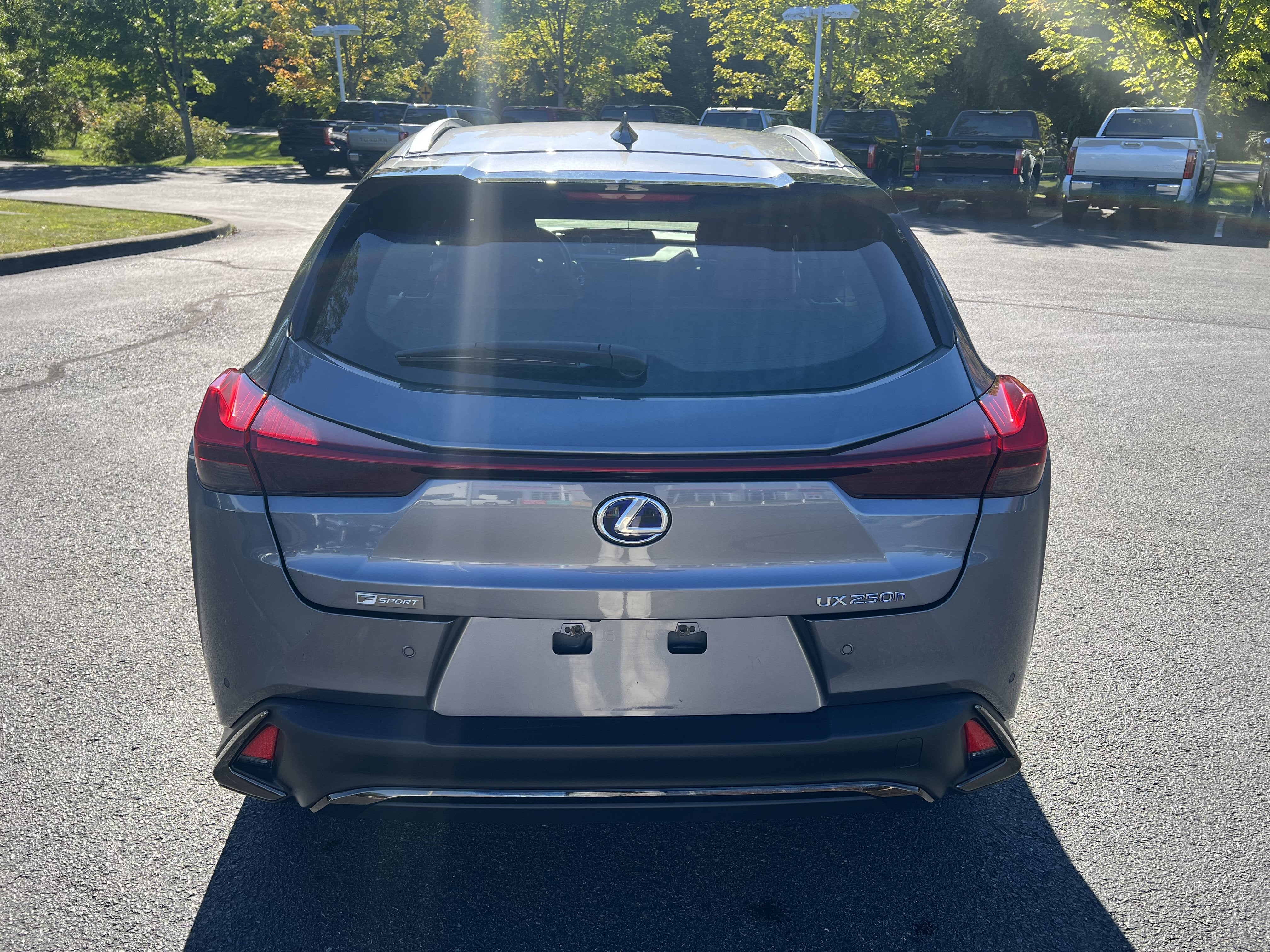 2019 Lexus UX UX 250h F SPORT